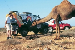 alejandro-trivino-desierto-marruecos-camella-dando-a-luz