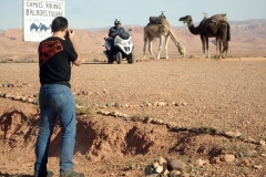 alejandro-trivino-reportaje-piaggio-mp3-marruecos-camellos