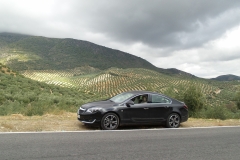 Prueba-Dinamica-Opel-Insignia