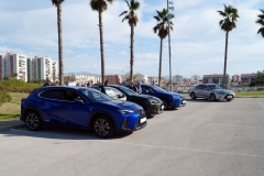 Prueba-Dinamica-Gama-Lexus